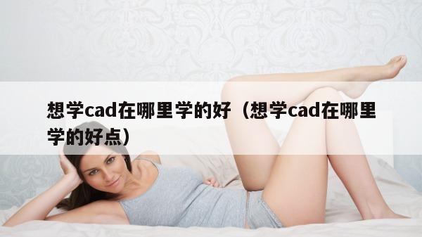 想学cad在哪里学的好（想学cad在哪里学的好点）