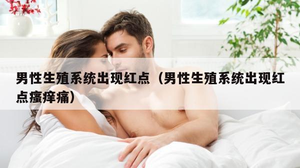 男性生殖系统出现红点（男性生殖系统出现红点瘙痒痛）