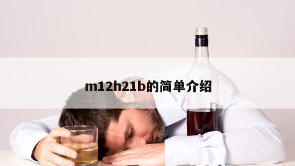 m12h21b的简单介绍