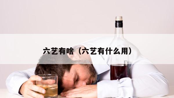 六艺有啥（六艺有什么用）