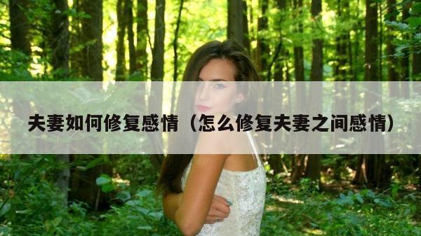 夫妻如何修复感情（怎么修复夫妻之间感情）