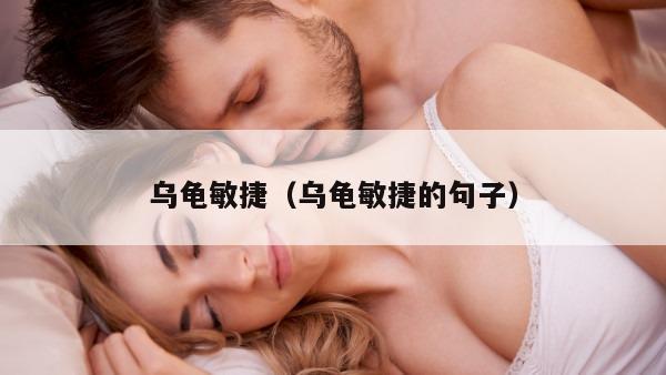 乌龟敏捷（乌龟敏捷的句子）