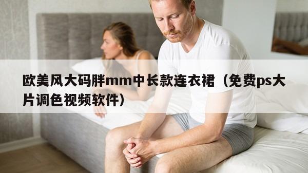 欧美风大码胖mm中长款连衣裙（免费ps大片调色视频软件）