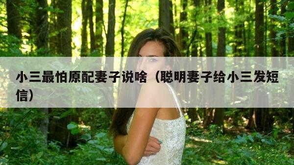 小三最怕原配妻子说啥（聪明妻子给小三发短信）