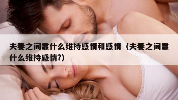 夫妻之间靠什么维持感情和感情（夫妻之间靠什么维持感情?）