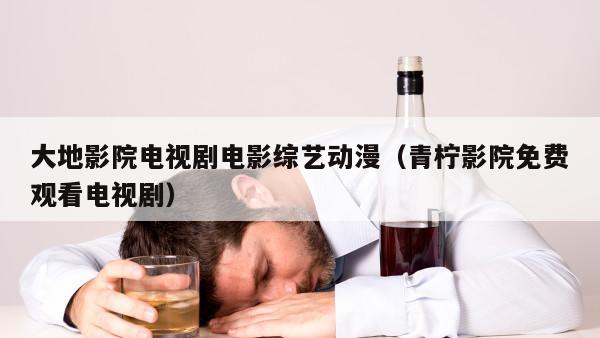 大地影院电视剧电影综艺动漫（青柠影院免费观看电视剧）