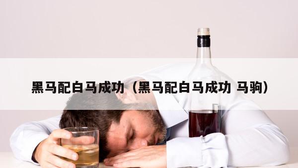 黑马配白马成功（黑马配白马成功 马驹）