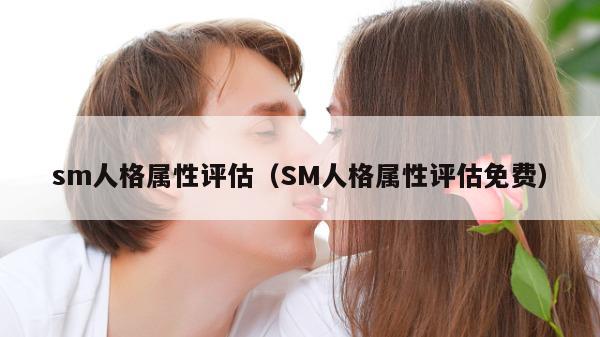 sm人格属性评估（SM人格属性评估免费）