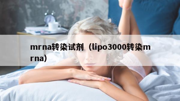 mrna转染试剂（lipo3000转染mrna）