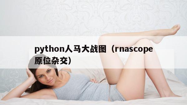 python人马大战图（rnascope原位杂交）