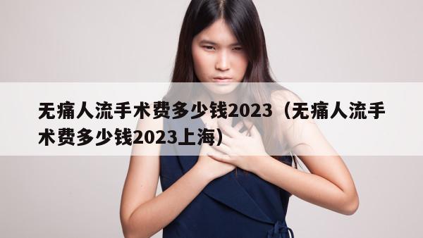 无痛人流手术费多少钱2023（无痛人流手术费多少钱2023上海）