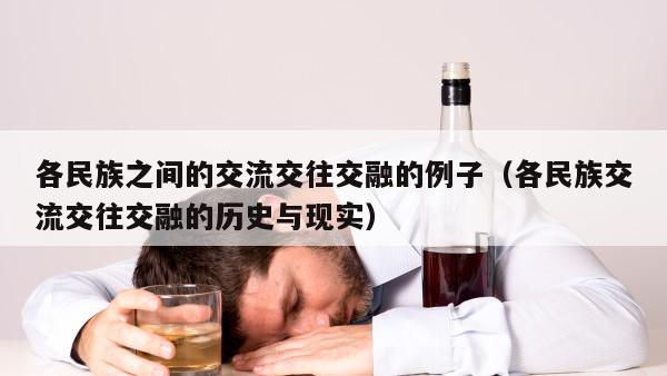 各民族之间的交流交往交融的例子（各民族交流交往交融的历史与现实）