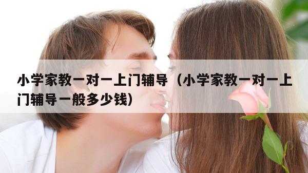 小学家教一对一上门辅导（小学家教一对一上门辅导一般多少钱）