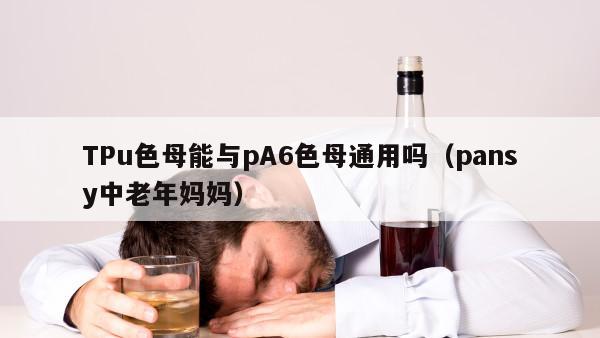 TPu色母能与pA6色母通用吗（pansy中老年妈妈）